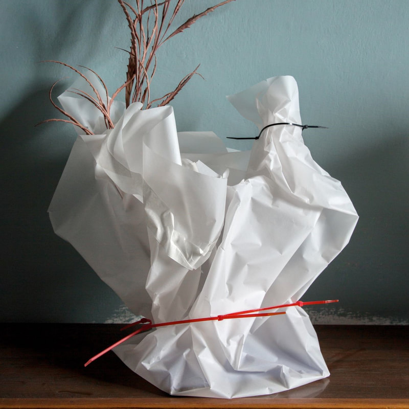 Hannah Schneider Ocean Letters A sprig of long grass in a white bag tied with a plastic tag.