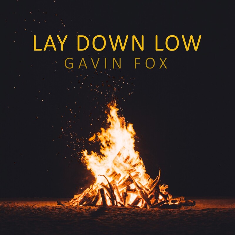 Gavin Fox Lay Down Low